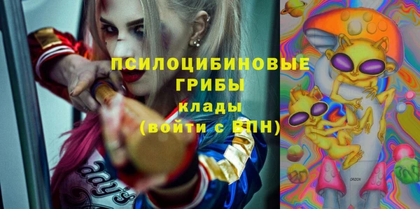 прущие крисы Белокуриха