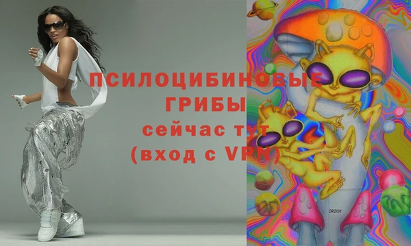 прущие крисы Белокуриха