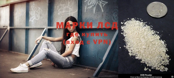 прущие крисы Белокуриха