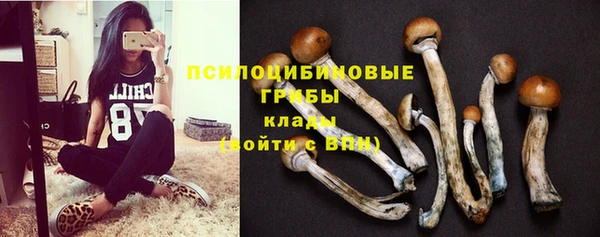 гидра Беломорск