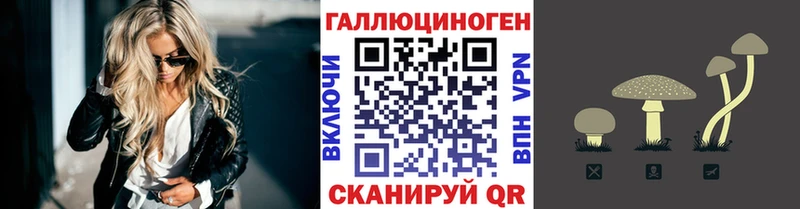 Галлюциногенные грибы прущие грибы Енисейск