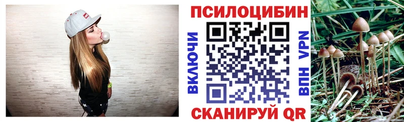 Псилоцибиновые грибы Cubensis  Енисейск 